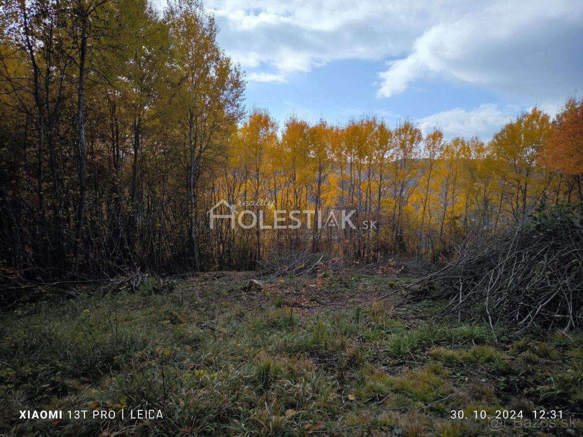 HOLESTIAK.sk reality ponúka exkluzívne na predaj krásny poze