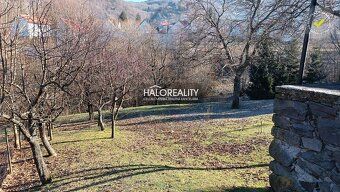 Realitná kancelária HALO reality a Bohuslava Záborská, konta