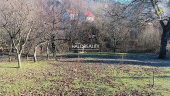 Realitná kancelária HALO reality a Bohuslava Záborská, konta