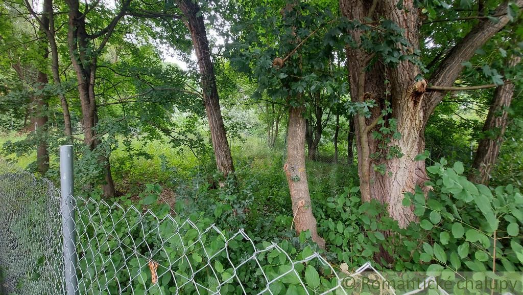 Oplotený pozemok nepravidelného tvaru na predaj. Nachádza sa