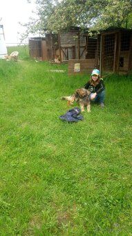 Hľadáme milovníka zvierat pre Katja psiu škôlku! 🐾
📍 Lokalit
