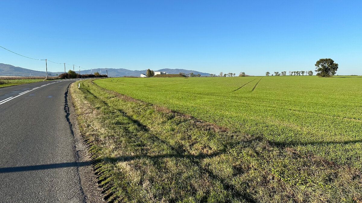 Investičný pozemok na predaj. Druh pozemku orná pôda. 130m š