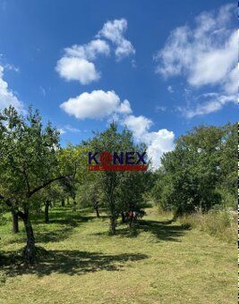 ID:2693
Ponúkame Vám na predaj rekreačný pozemok v meste Seč