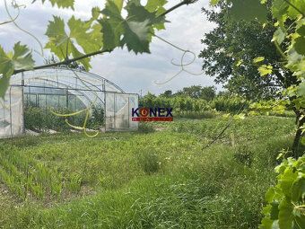 ID: 2902
Ponúkame Vám na predaj rodinný dom v obci Borša:  
