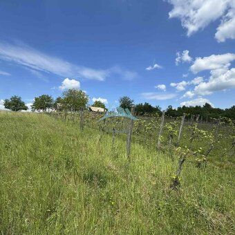 • Rozľahlý pozemok (5820 m²) v lone prírody – Dolné Terany, 