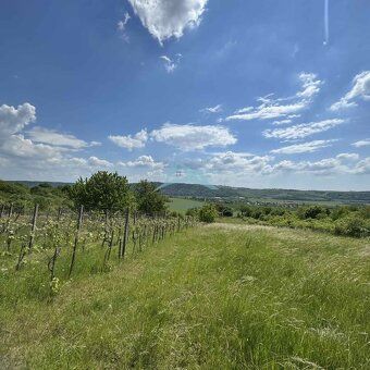• Rozľahlý pozemok (5820 m²) v lone prírody – Dolné Terany, 