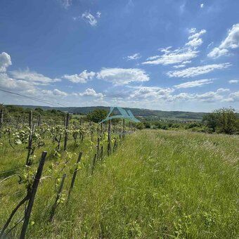 • Rozľahlý pozemok (5820 m²) v lone prírody – Dolné Terany, 