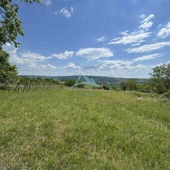• Rozľahlý pozemok (5820 m²) v lone prírody – Dolné Terany, 