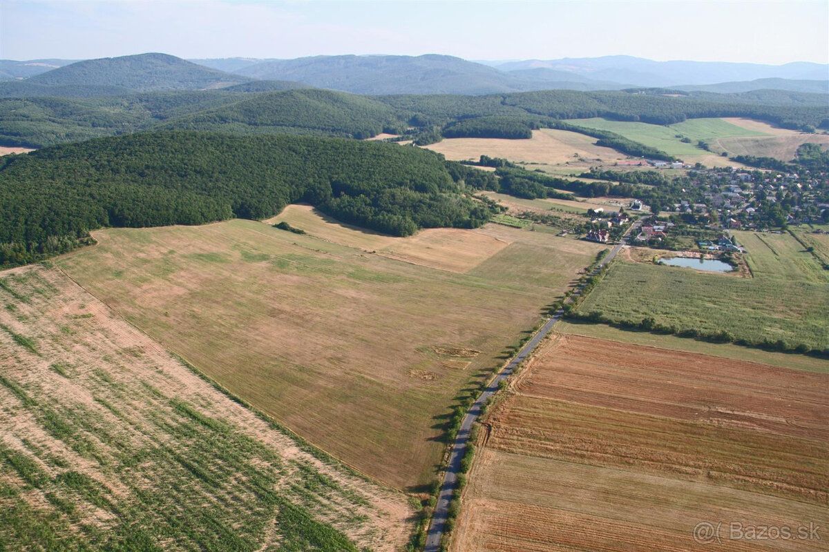 Predam 6 hektarovy pozemok v obci Tocnica pri Lucenci. Prist