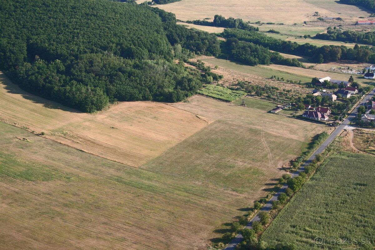 Predam 6 hektarovy pozemok v obci Tocnica pri Lucenci. Prist