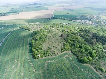 Predáme 6,0 ha pozemok v Podhoranoch pri Nitre, časť Sokolní