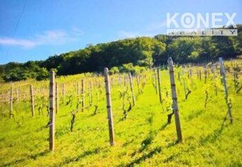 ID:4003
Ponúkame na predaj slnečný stavebný pozemok v pokojn