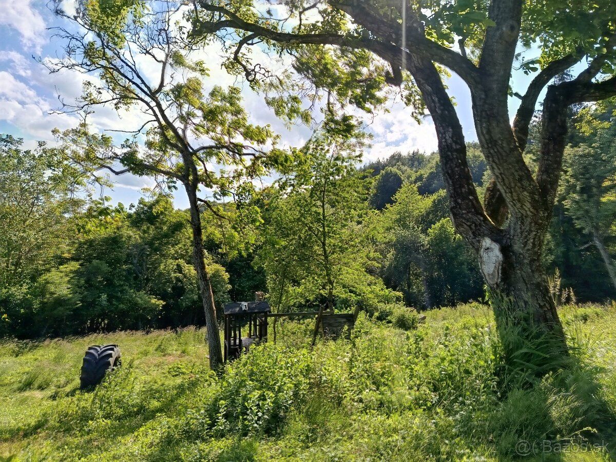 Predaj pozemku, okres Žarnovica, Hrabičov 20 000 eur
Vhodný 