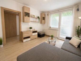 We are a young working couple looking for an apartment one r