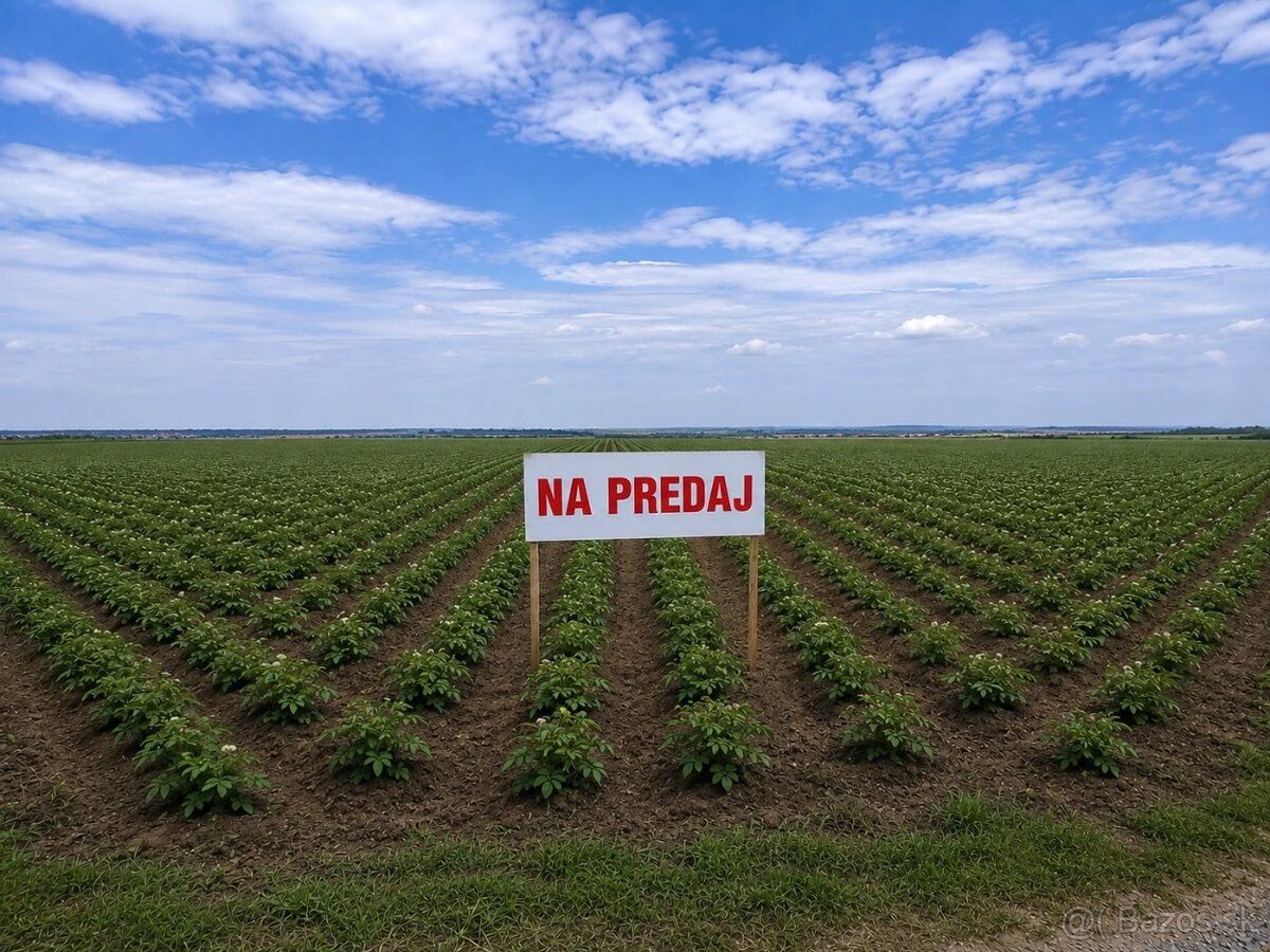 ponúkame na predaj atraktívny pozemok vedený ako orná pôda v