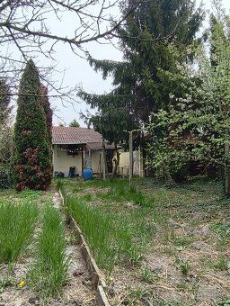 Ponúkame na predaj útulnú záhradu o výmere 4 áre, ideálnu na