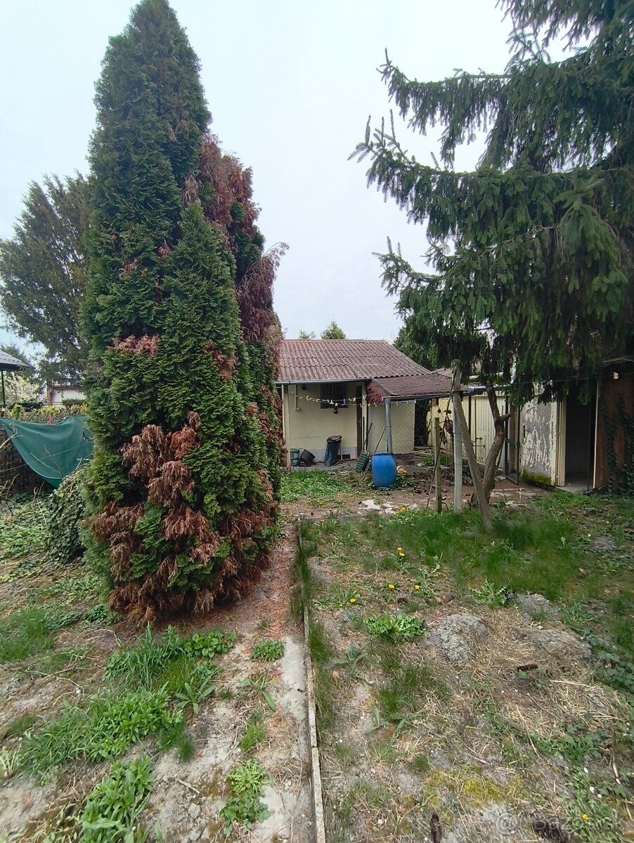 Ponúkame na predaj útulnú záhradu o výmere 4 áre, ideálnu na