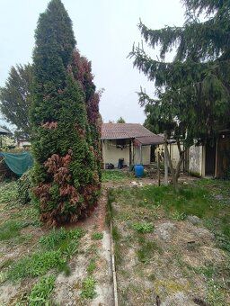 Ponúkame na predaj útulnú záhradu o výmere 4 áre, ideálnu na