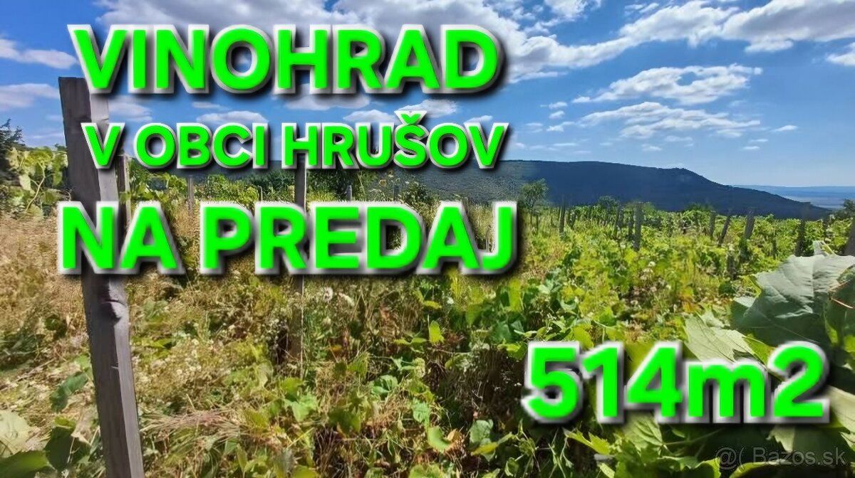 Ponúkam na predaj vinohrad o výmere 514m2 na juhu stredného 