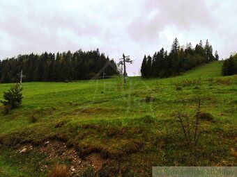 Ponúkame na predaj svahovitý pozemok v rekreačnej oblasti - 