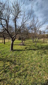 Ponúkam na predaj záhradu o rozlohe 1593m2, v obci Širkovce 