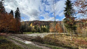 Na predaj 2 susediace pozemky v Gelnickej doline , presnejsi
