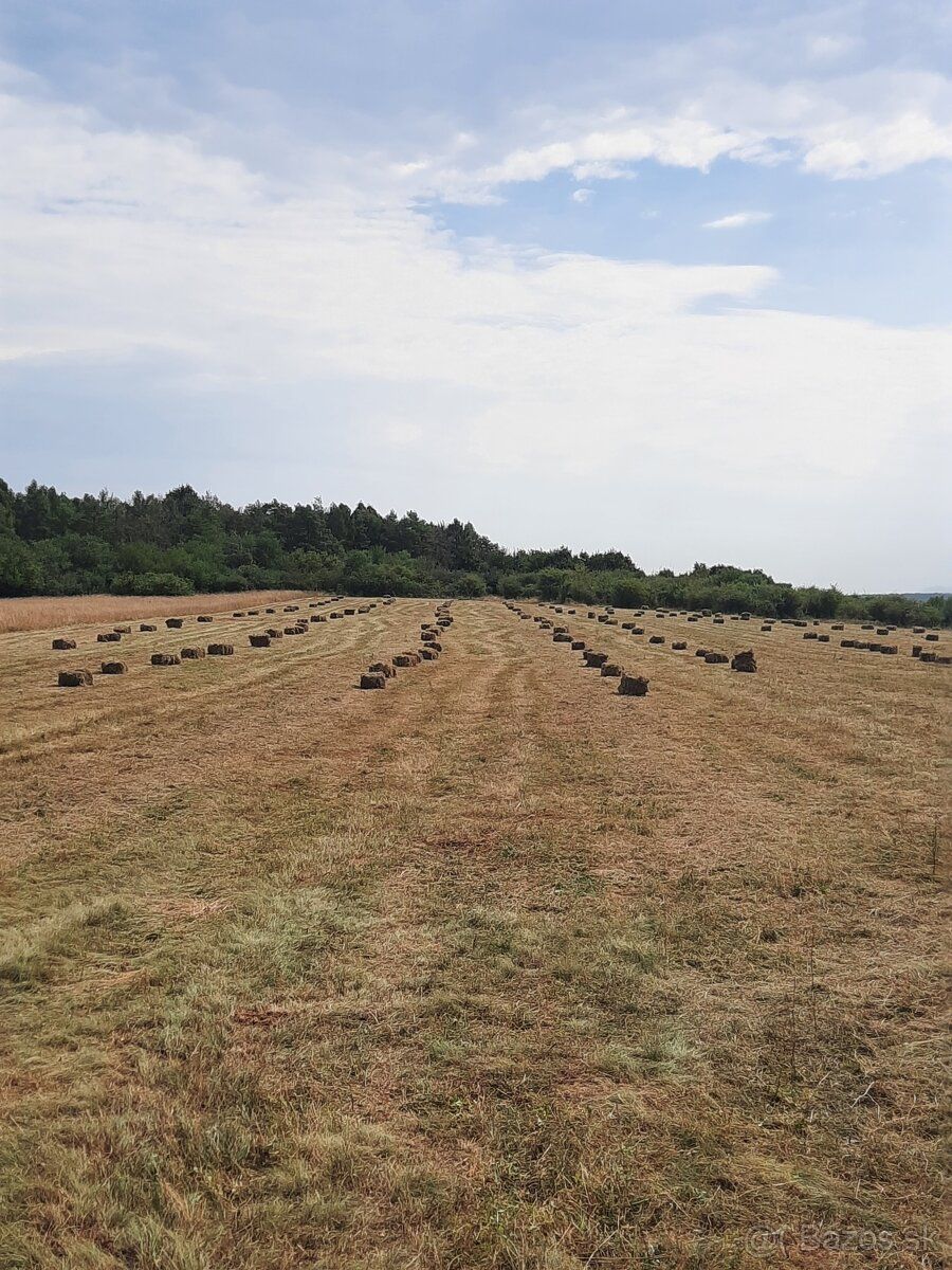 Predam cca 2,1 h ornej pôdy v podieloch,kataster Debraď cena