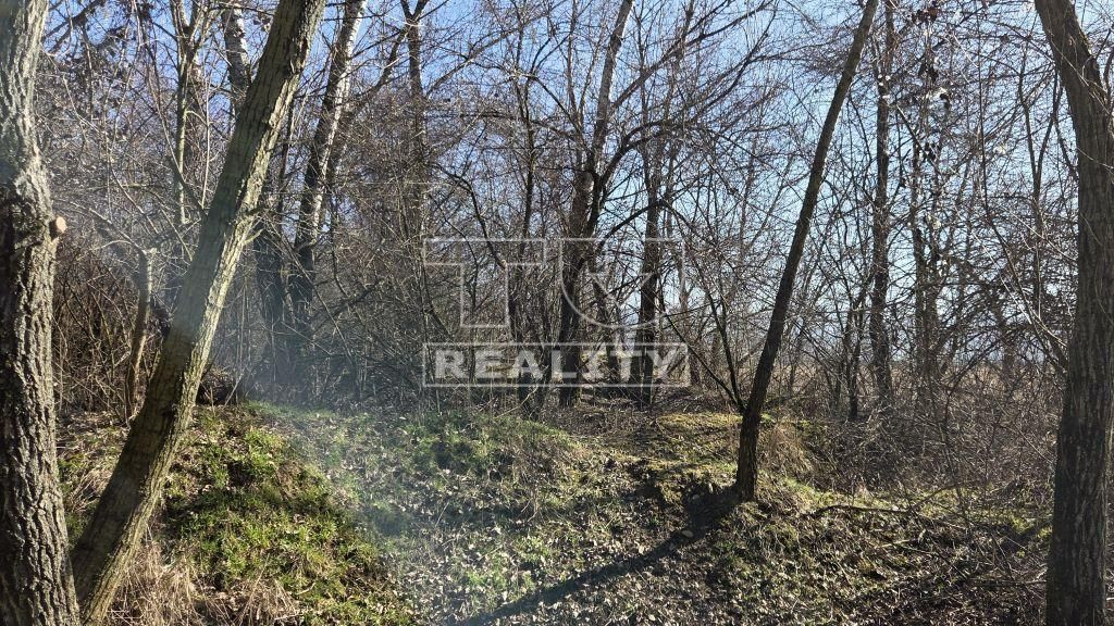 TU reality Vám ponúka na predaj rekreačný pozemok v katastrá