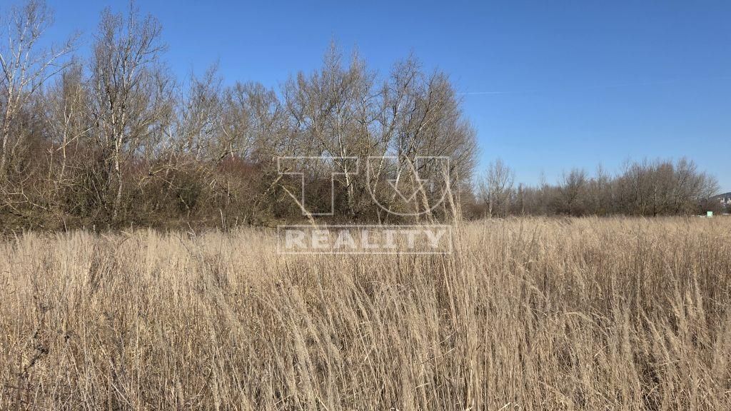 TU reality Vám ponúka na predaj rekreačný pozemok v katastrá