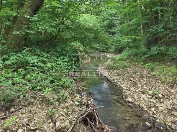 Ponúkame na predaj rekreačný pozemok s výmerou 772 m2, situo
