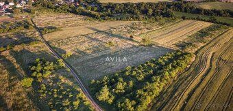 Sme AVILA. Už roky spájame ľudí s ich novým domovom. Kontakt