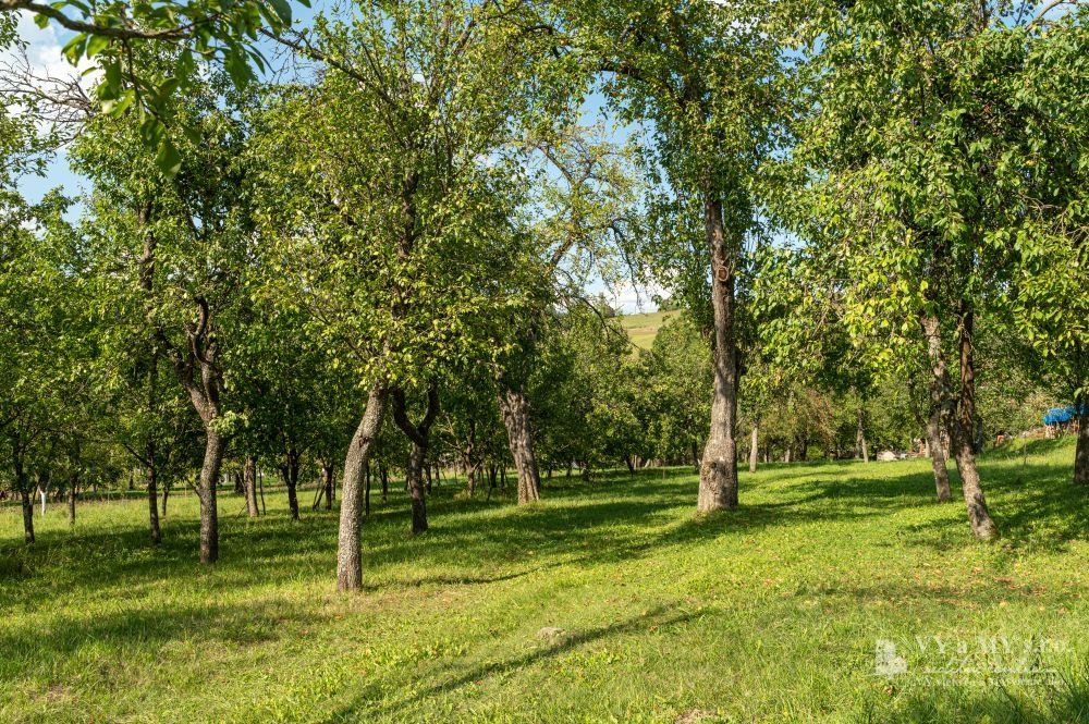 Ponúkame na predaj STAVEBNÝ pozemok o celkovej výmere 1753 m