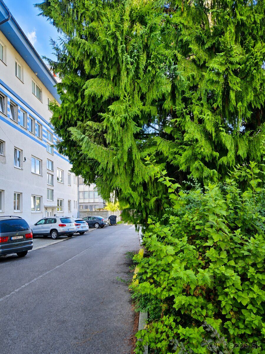 kancelária pripravená na prácu od 1. augusta 2026 zariadenie