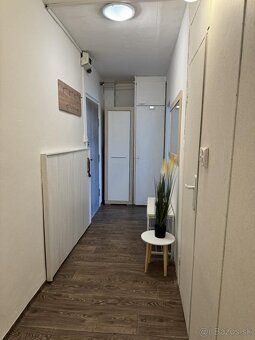 Ponúkam do prenájmu 1,5 izbový byt (42 m2 obytná plocha a 6 