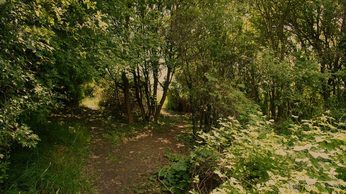 Pozemok sa nachádza v prírodnom, tichom prostredí, pri záhra