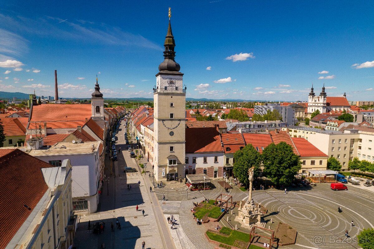 Ponúknite v Trnave byt, rozloha od 25 m2 - 60 m2. Hľadám na 