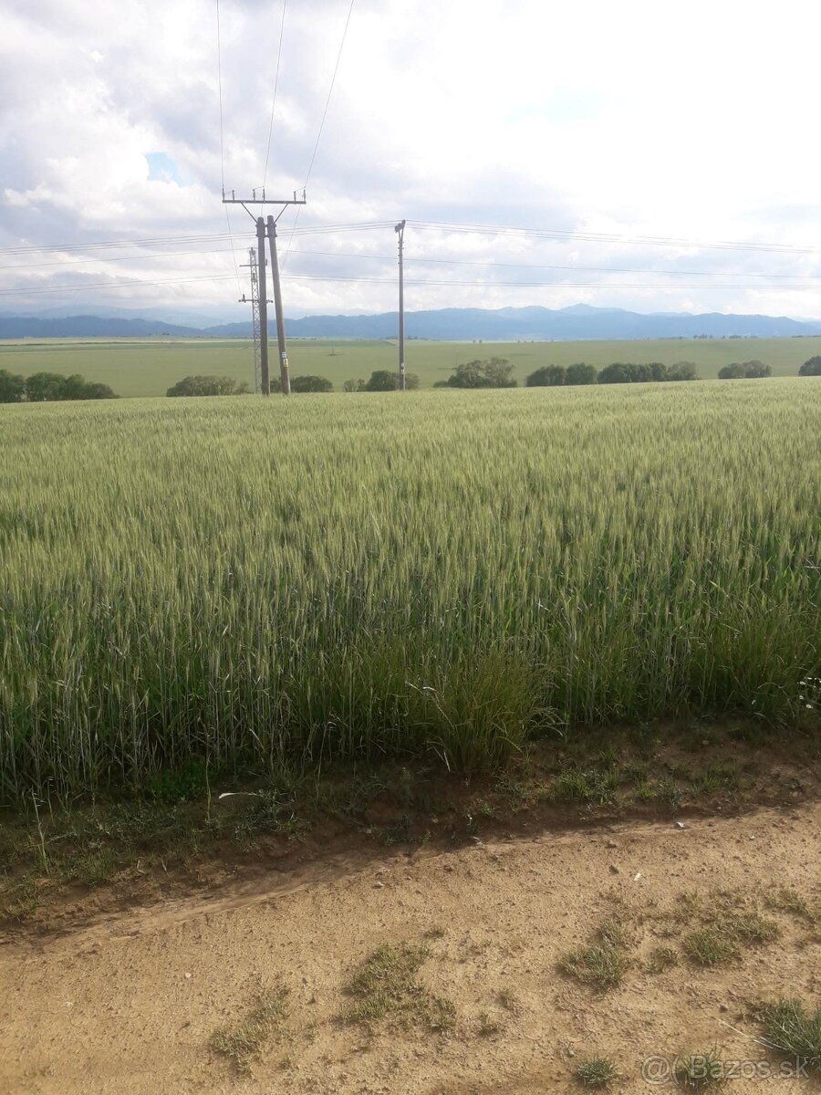 Na predaj: Slnečný pozemok s výhľadom v obci Mlynica (2 367 