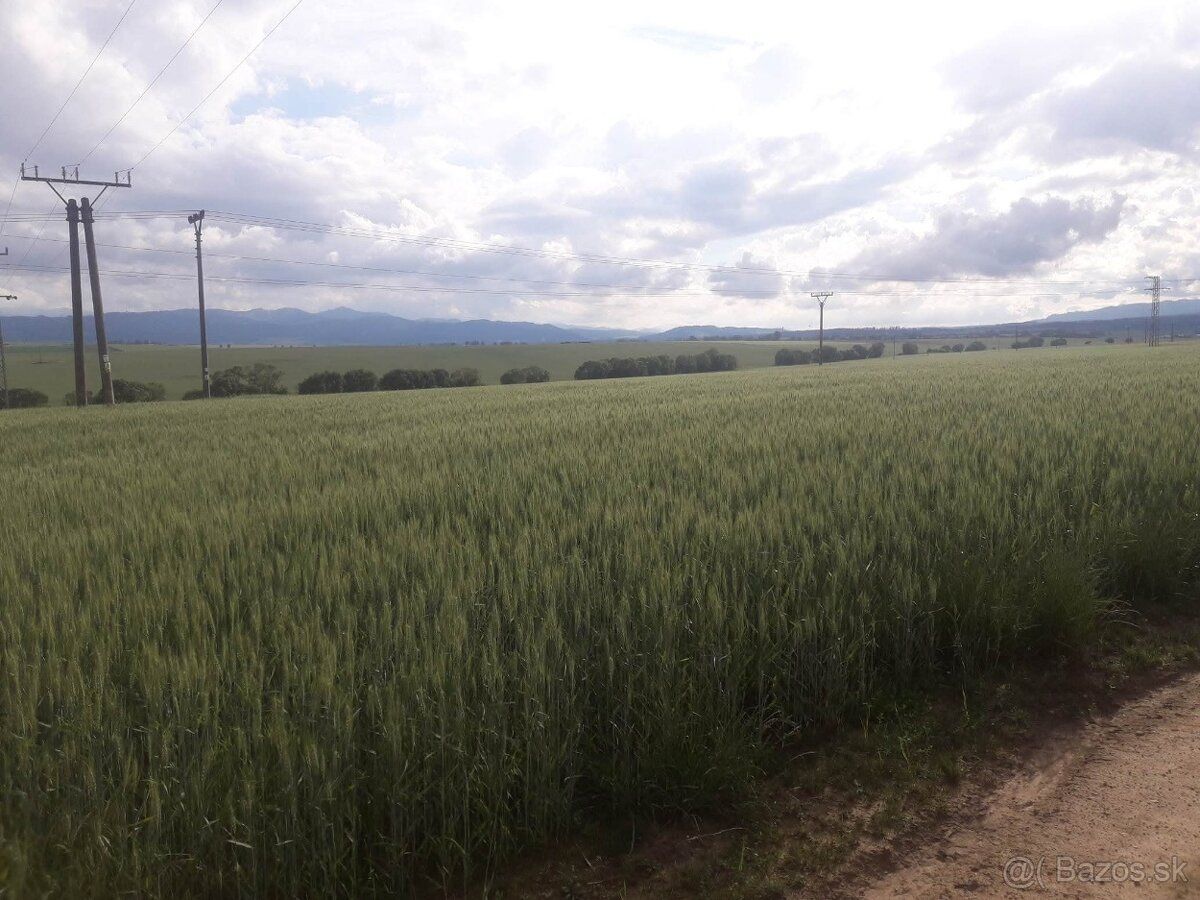 Na predaj: Slnečný pozemok s výhľadom v obci Mlynica (2 367 