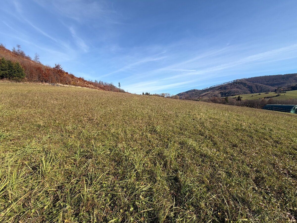 PONUKA NA PREDAJ POZEMKU Obec Lysica, časť Pánske Zlieny, ok