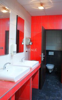Typ: Obchodné priestory Obec: Bratislava-Staré Mesto
Na pren