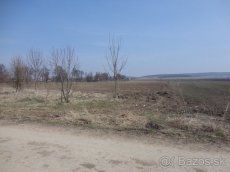LCF REAL ponúka na predaj ornú pôdu s vysokou bonitou o výme