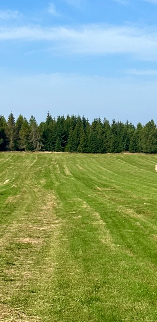 POZEMOK 10 árov s Výhľadom na Tatry, TTP, rovina idealný na 