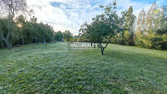Realitná kancelária HALO reality a Peter Cifrík, kontakt: 09