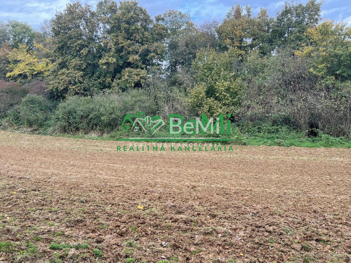 Typ: Rekreačné pozemky Ulica: Nemšová Obec: Nemšová
005-14-M