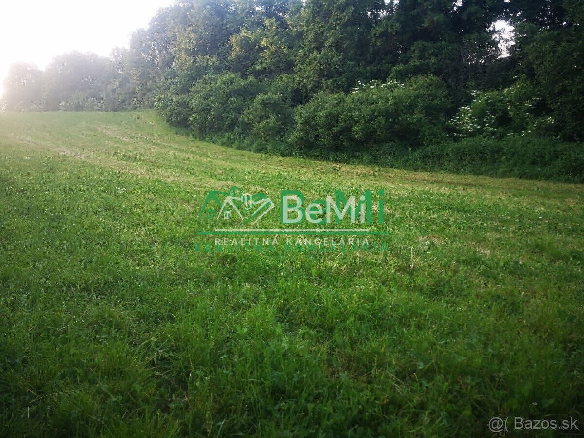 Typ: Rekreačné pozemky Ulica: Nemšová Obec: Nemšová
005-14-M