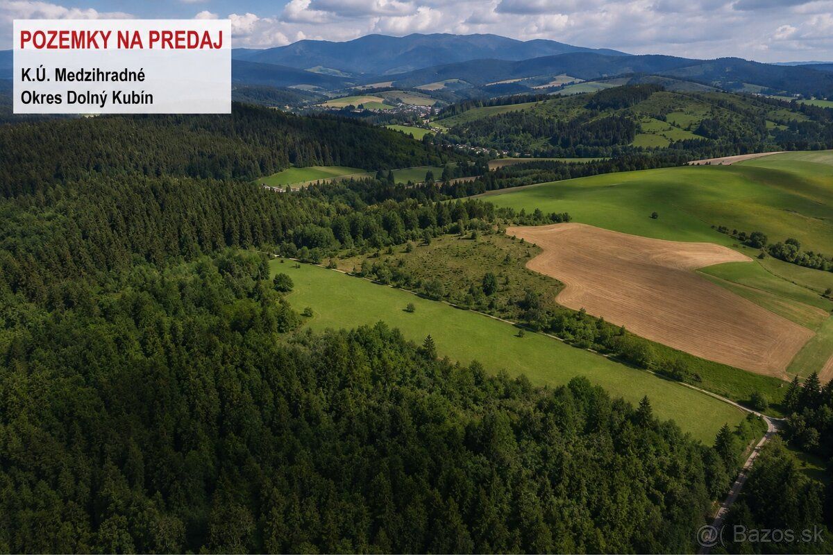 Predaj pozemkov v katastrálnom území Medzihradné. Pozemky sa