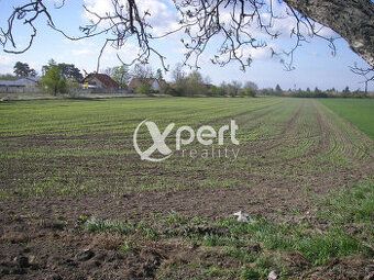 Ponúkam na predaj 1,6 ha investičného pozemku. Ide o veľký u
