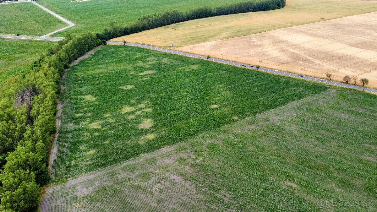 Ponúkam na predaj 1,6 ha investičného pozemku. Ide o veľký u