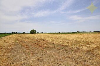 VŠEOBECNE: Lokalita: pozemok je v tesnej blízkosti intravilá