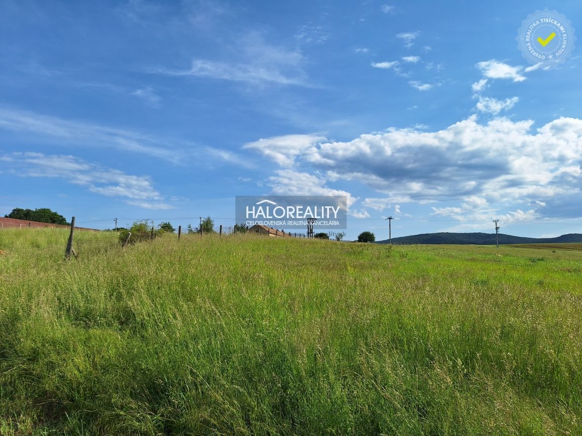 Realitná kancelária HALO reality a Bohuslava Záborská, konta